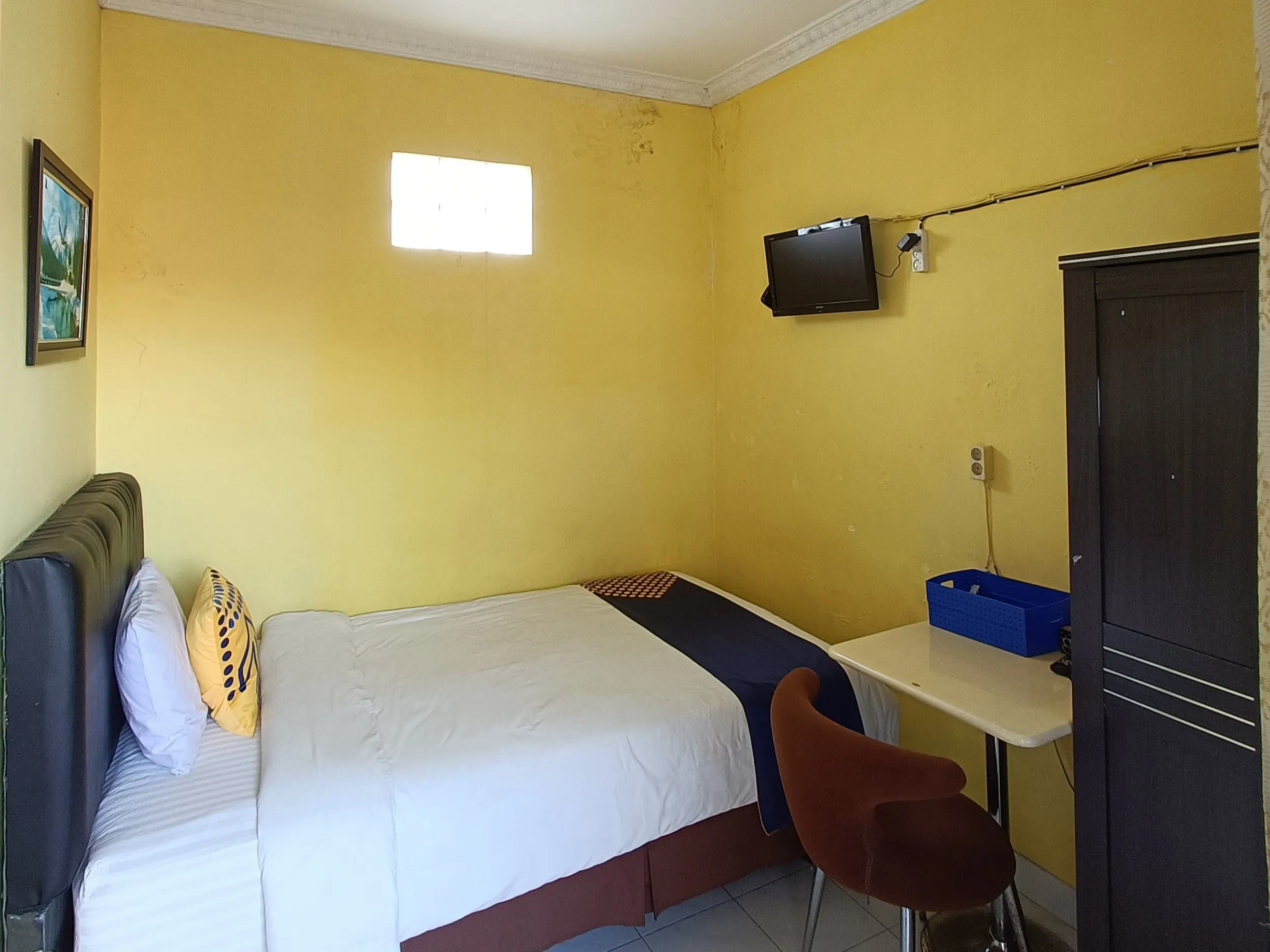 Standard Single_photo